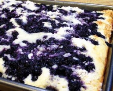 Blueberry Snack Cake