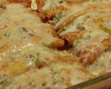 Creamy Chicken Enchiladas